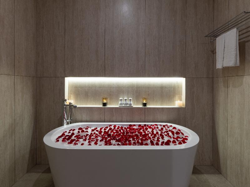 Anik Palace Hotel image
