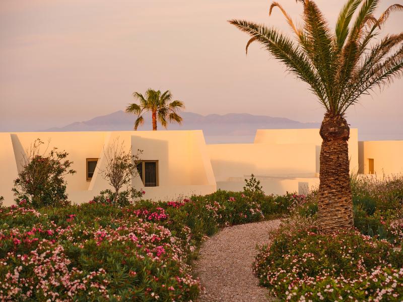 Nous Santorini image
