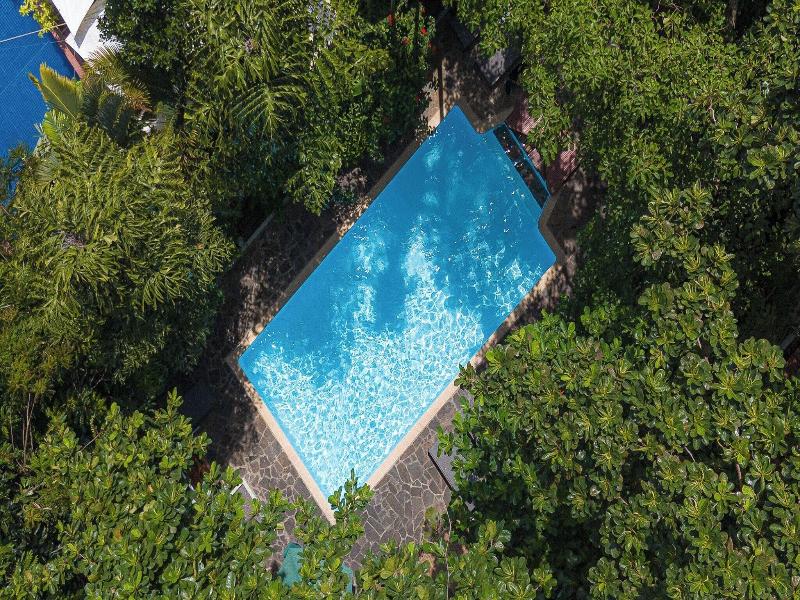 Jungle Addition image