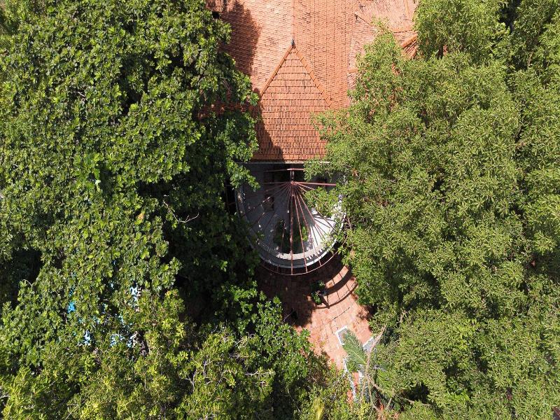 Jungle Addition image