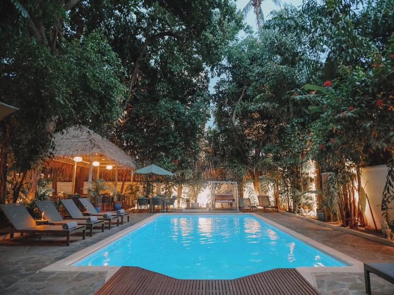 Jungle Addition image