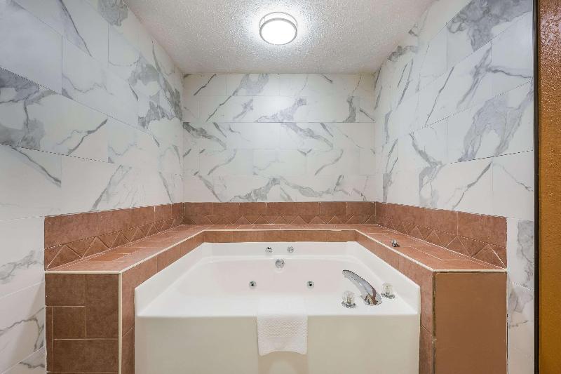 Econo Lodge Selmer image