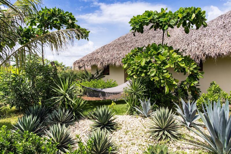 Malibu Popoyo image