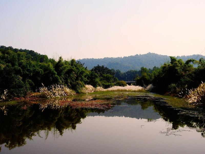 The Tiger Valley Resort, Umaria