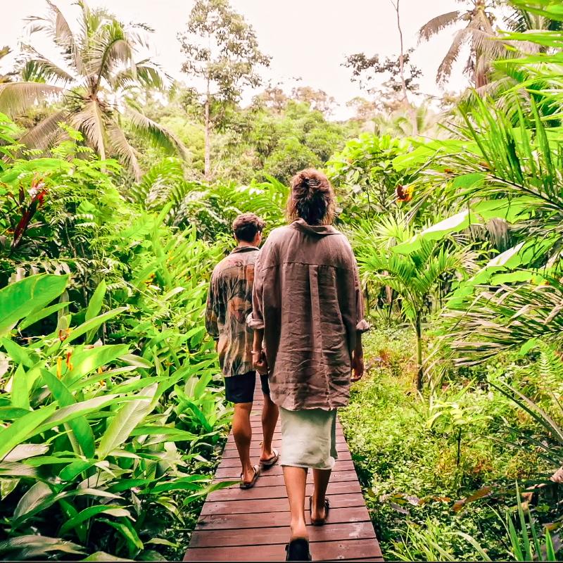 La Loma Jungle Lodge And Chocolate Farm image