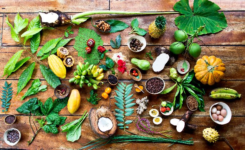 La Loma Jungle Lodge And Chocolate Farm image