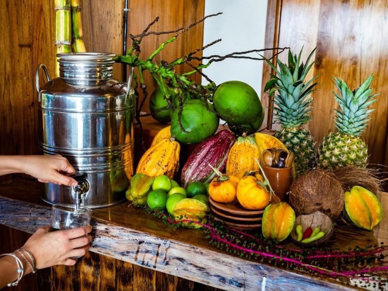La Loma Jungle Lodge And Chocolate Farm image