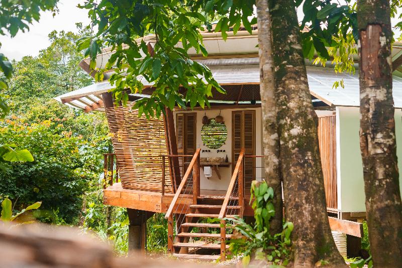 La Loma Jungle Lodge And Chocolate Farm image