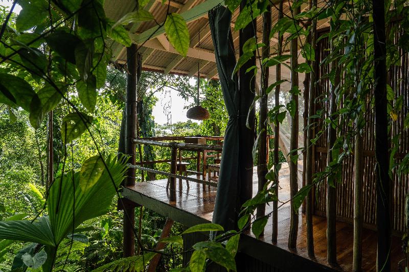 La Loma Jungle Lodge And Chocolate Farm image