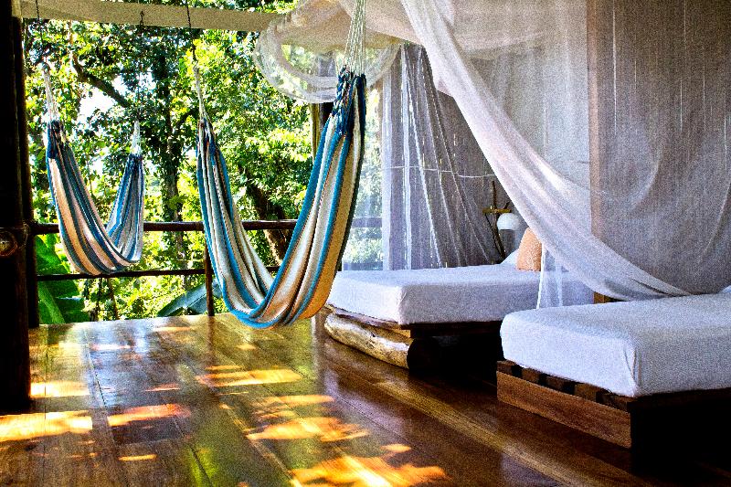 La Loma Jungle Lodge And Chocolate Farm image