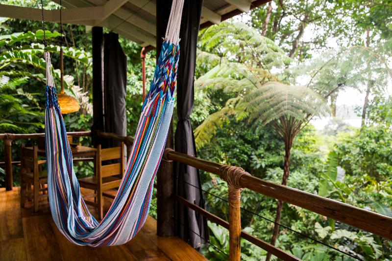 La Loma Jungle Lodge And Chocolate Farm image
