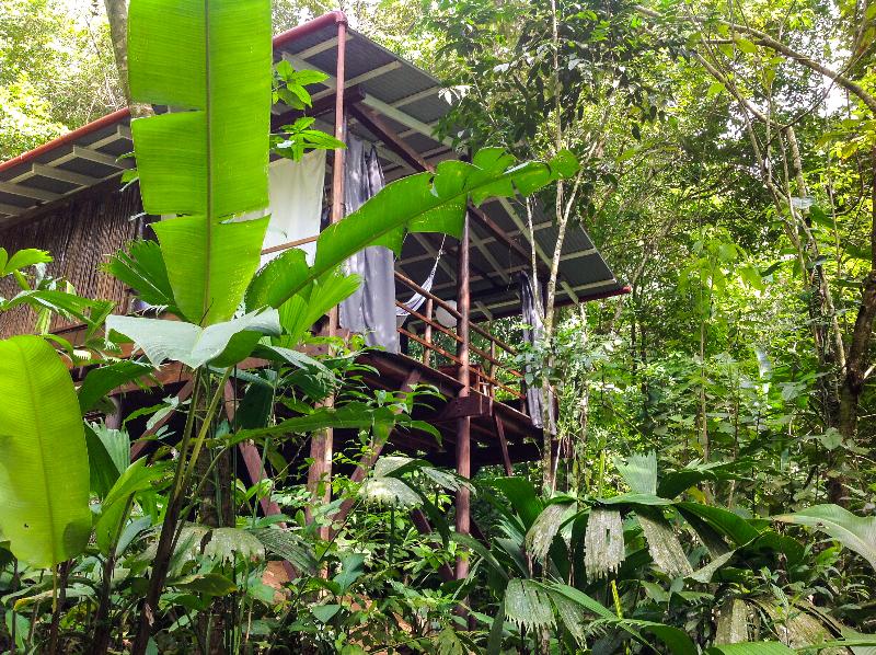 La Loma Jungle Lodge And Chocolate Farm image