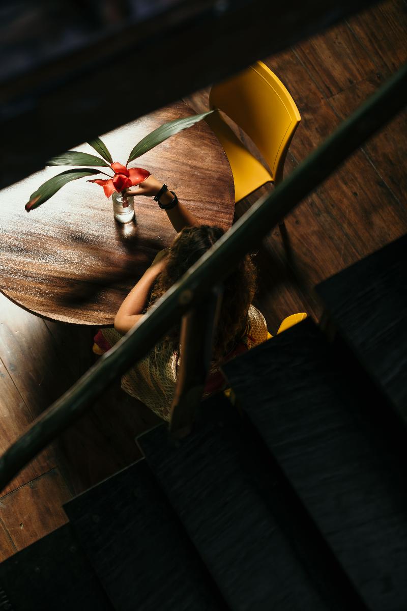 La Loma Jungle Lodge And Chocolate Farm image
