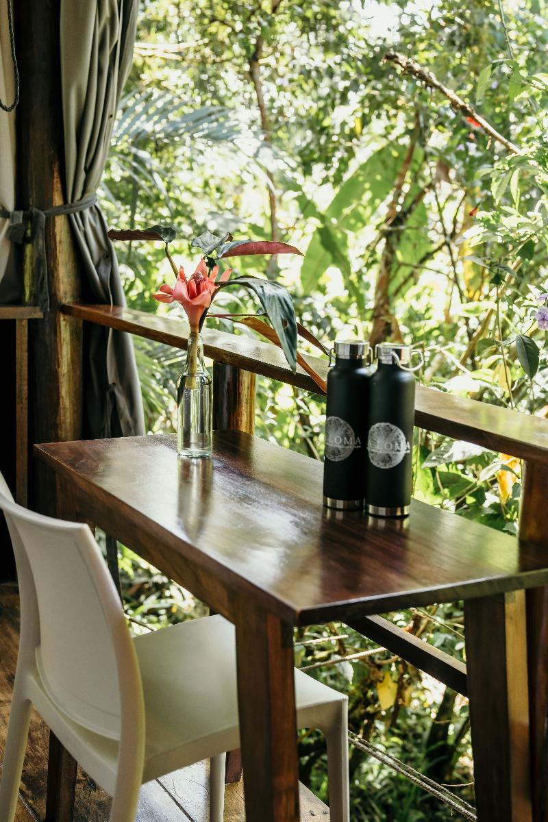 La Loma Jungle Lodge And Chocolate Farm image