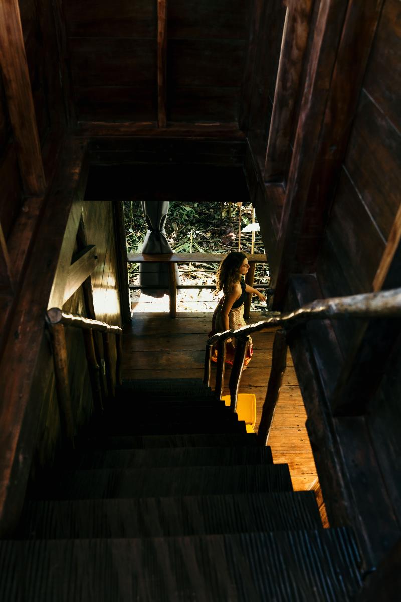 La Loma Jungle Lodge And Chocolate Farm image