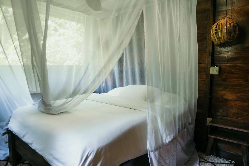La Loma Jungle Lodge And Chocolate Farm image