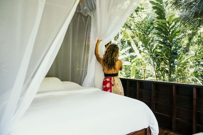 La Loma Jungle Lodge And Chocolate Farm image