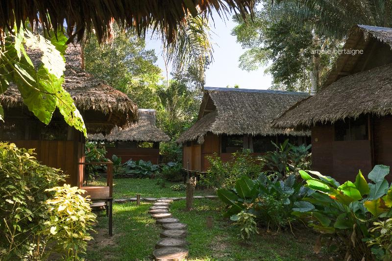 Ecolucerna Lodge Tambopata 2