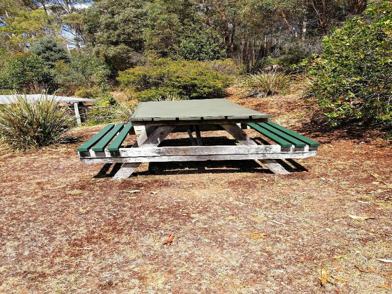 Minnow Cabins