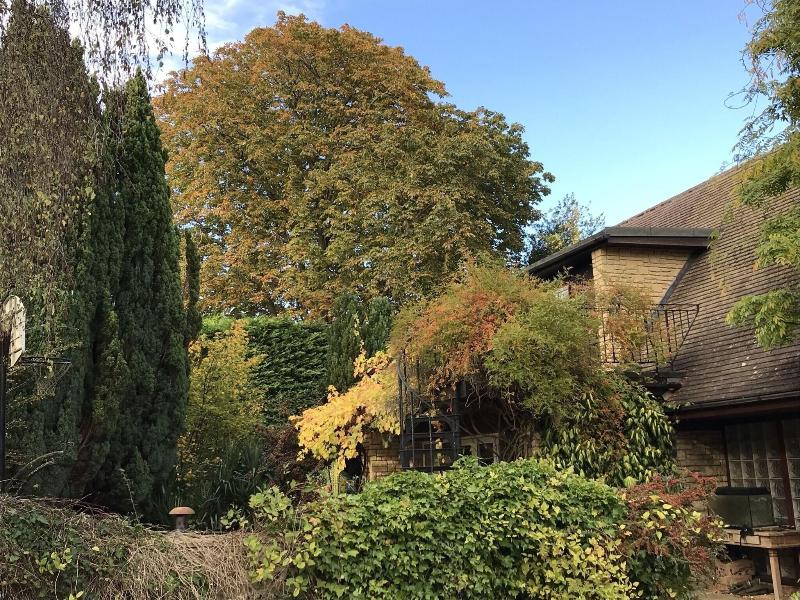 Sandford Meadow Guest House image