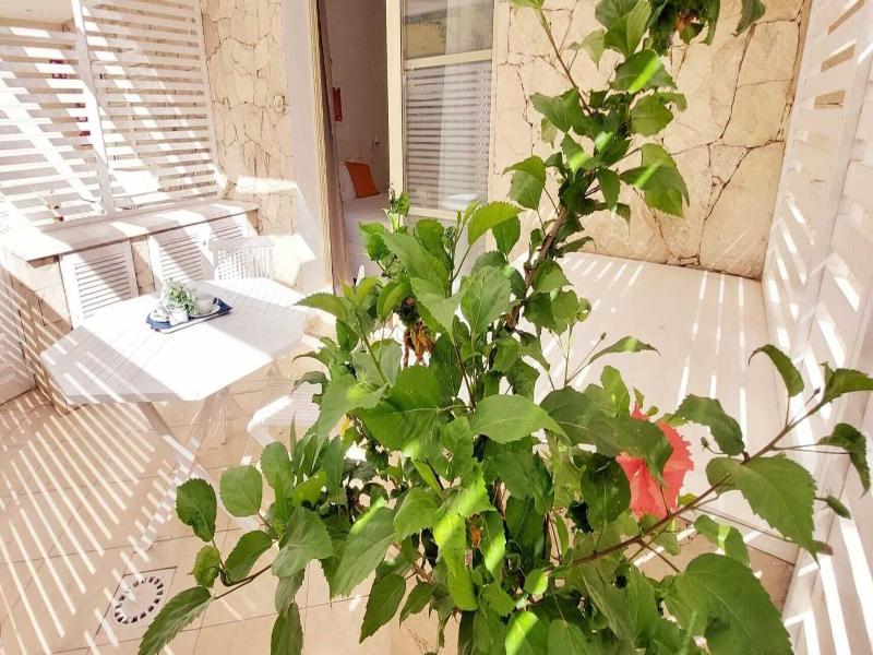 Branco Suites  image