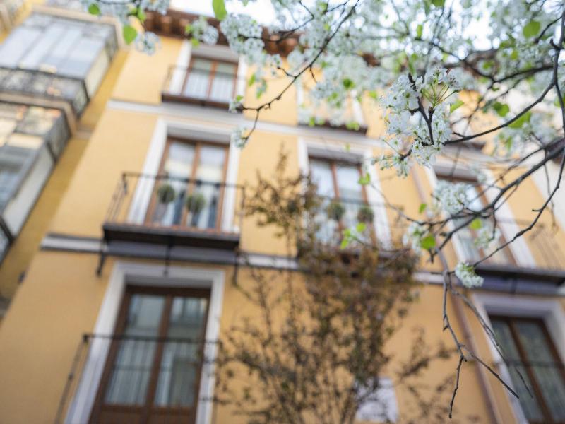 Apartamentos Huertas image