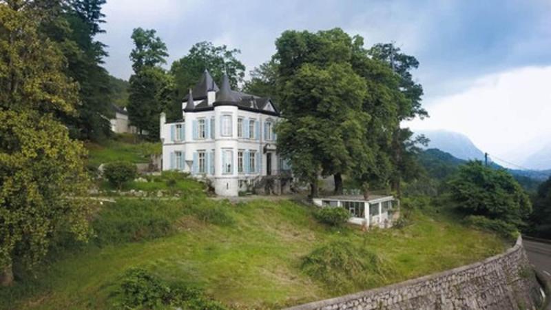 Chateau De Druon image