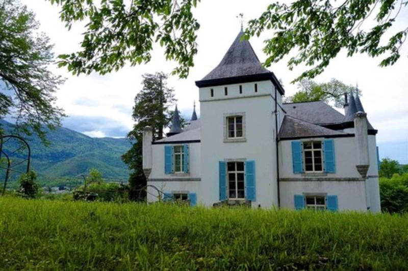 Chateau De Druon image