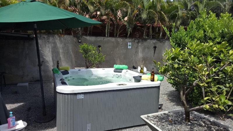 Palms Villa image