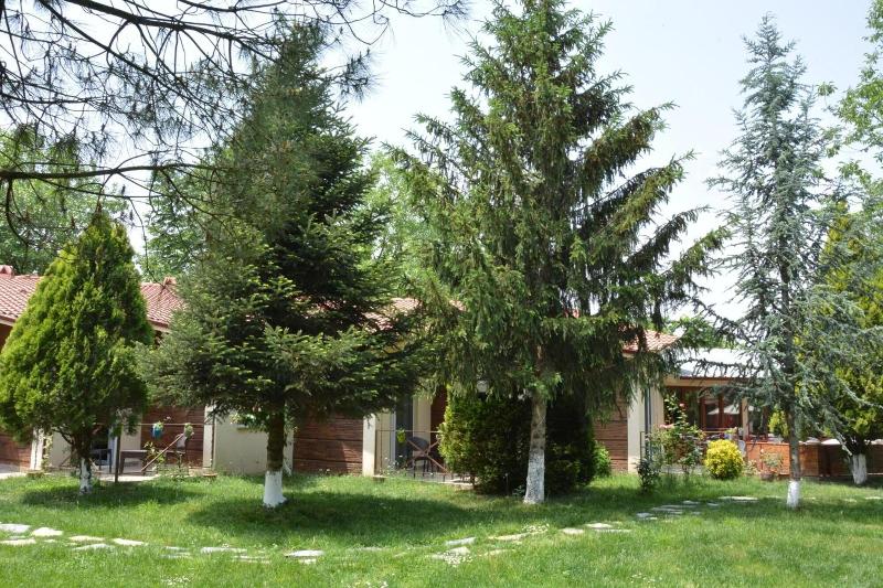 Alex Village Life image