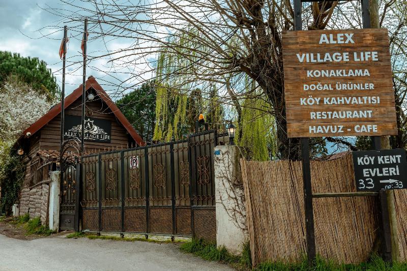 Alex Village Life image
