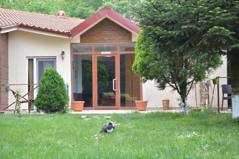 Alex Village Life image