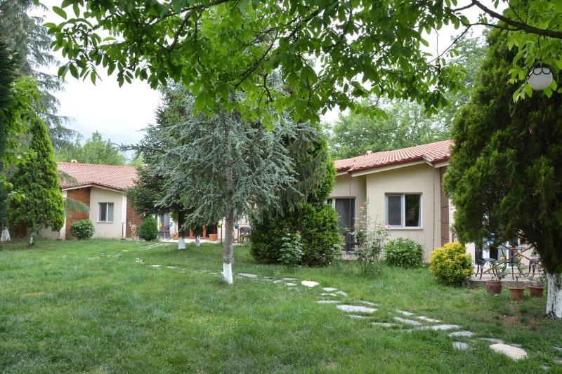 Alex Village Life image
