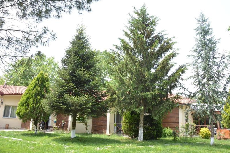 Alex Village Life image