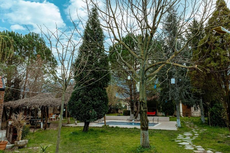 Alex Village Life image