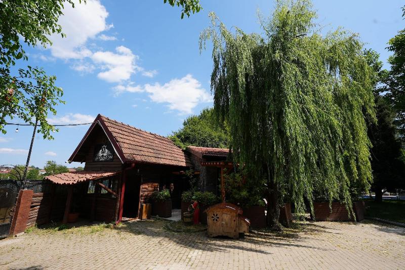 Alex Village Life image
