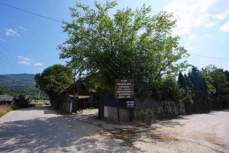 Alex Village Life image