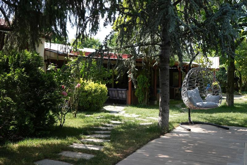 Alex Village Life image