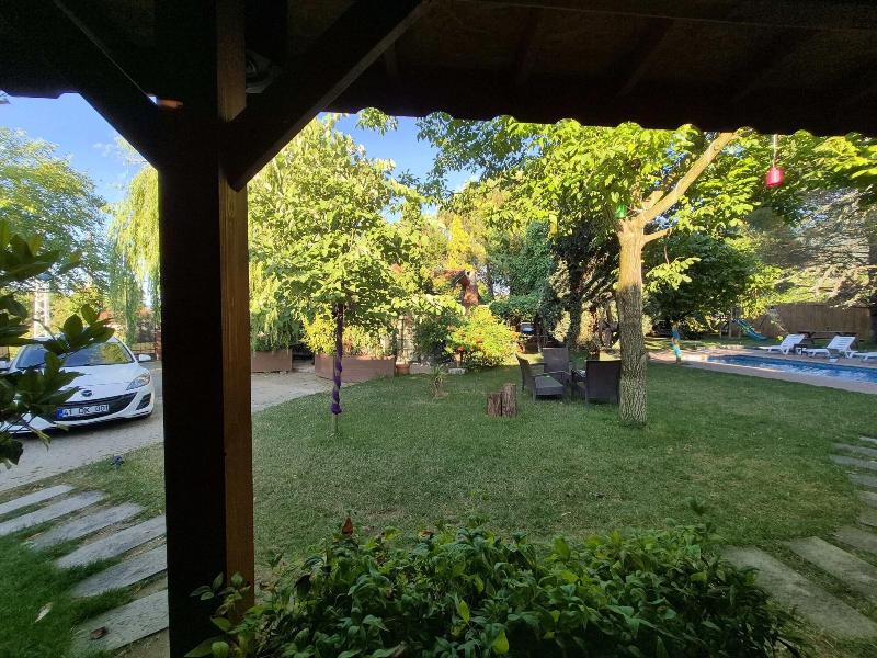 Alex Village Life image