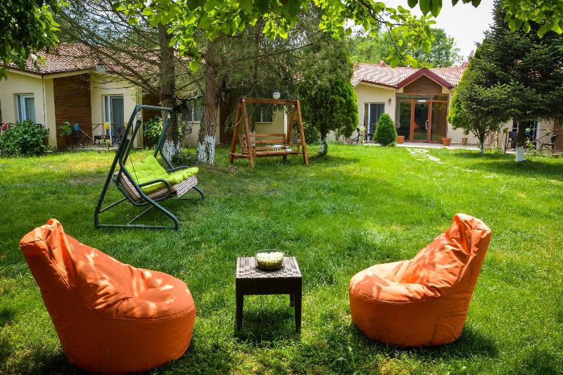Alex Village Life image