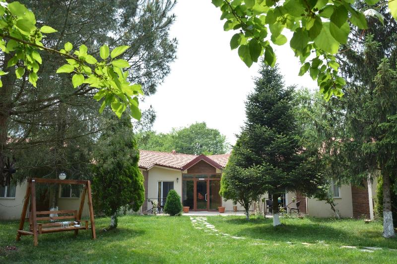 Alex Village Life image