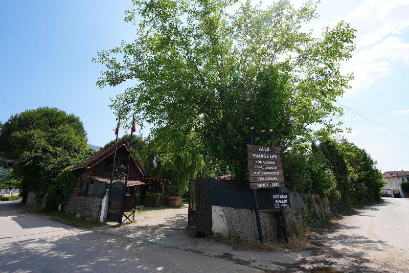 Alex Village Life image