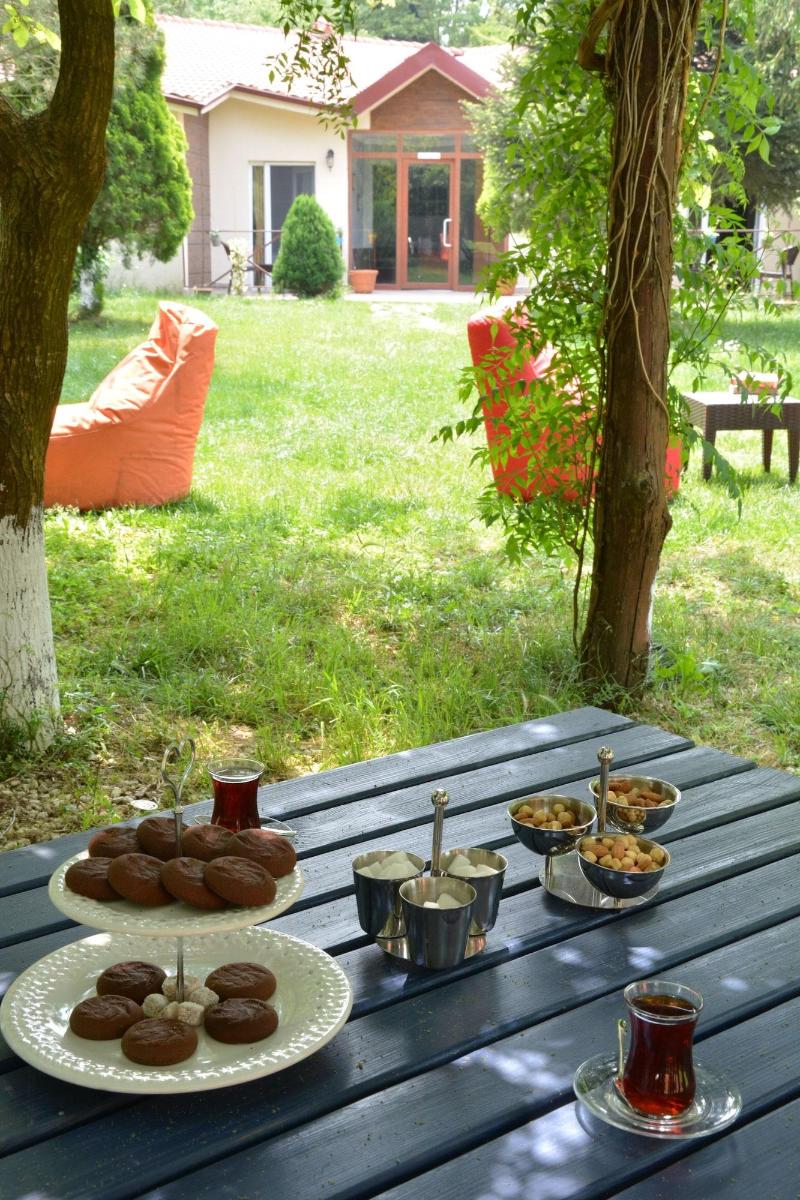 Alex Village Life image