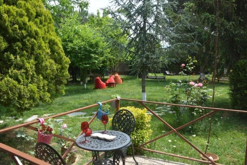 Alex Village Life image
