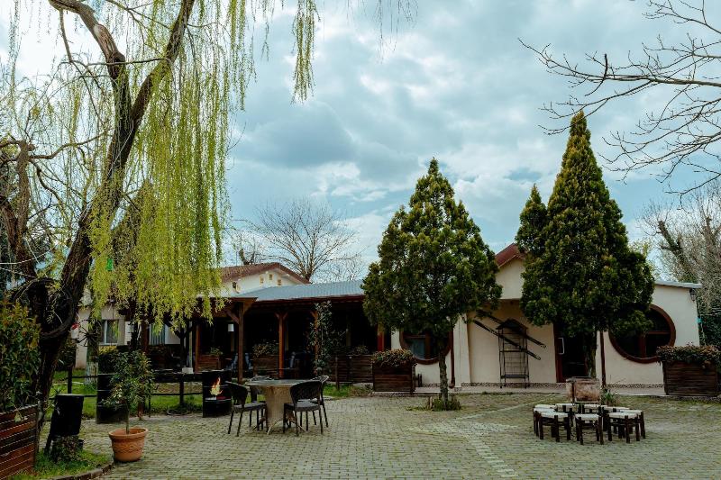Alex Village Life image