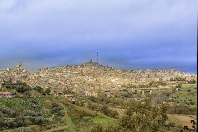 Regina Carolina image