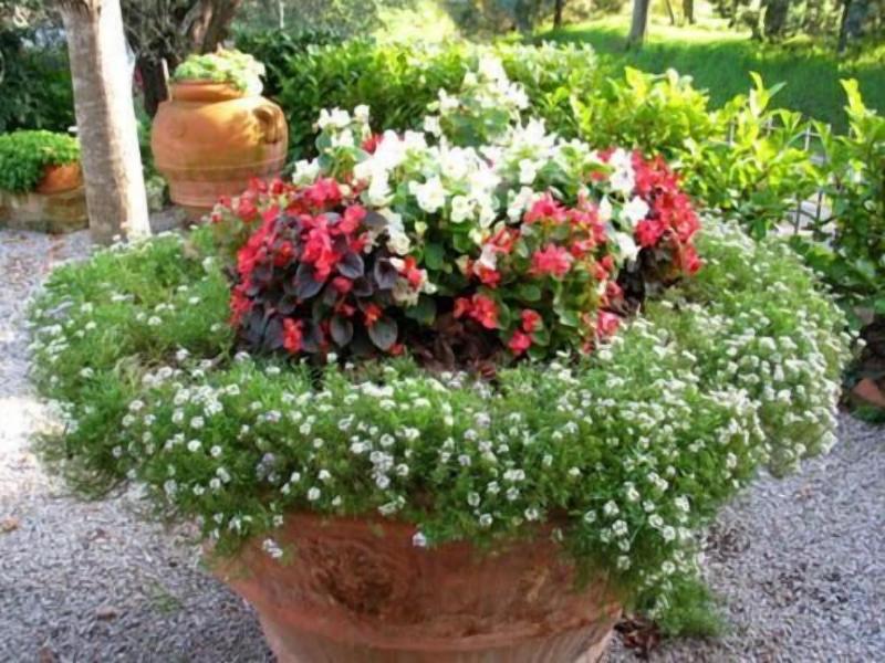 B B Le Logge Di Sopra image
