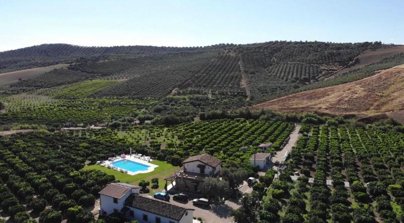 Agriturismo Trappeto Vecchio image
