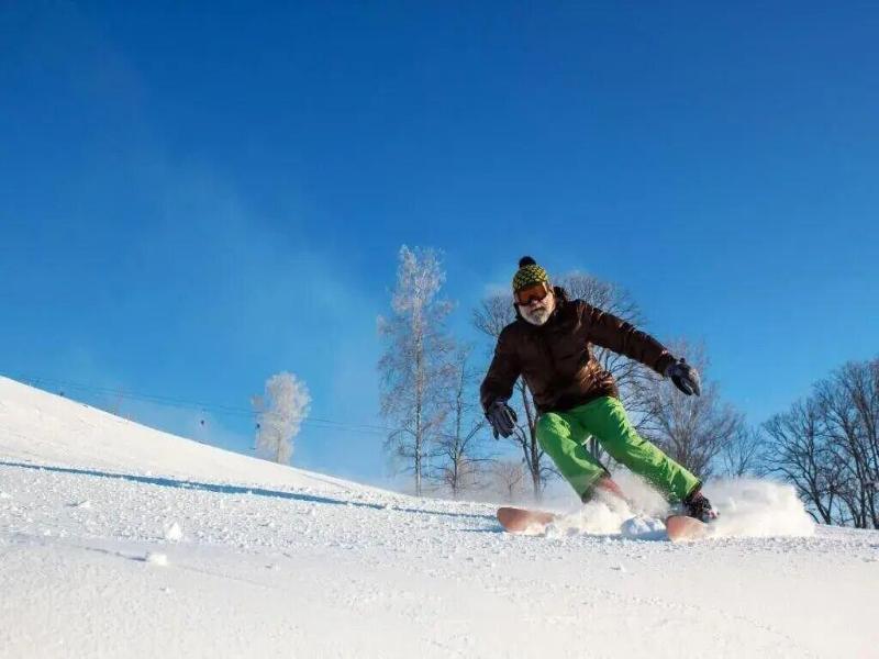 Le Diamant Des Neiges image