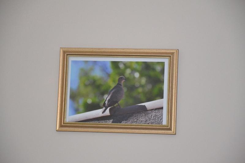 Le Colibri Bleu image